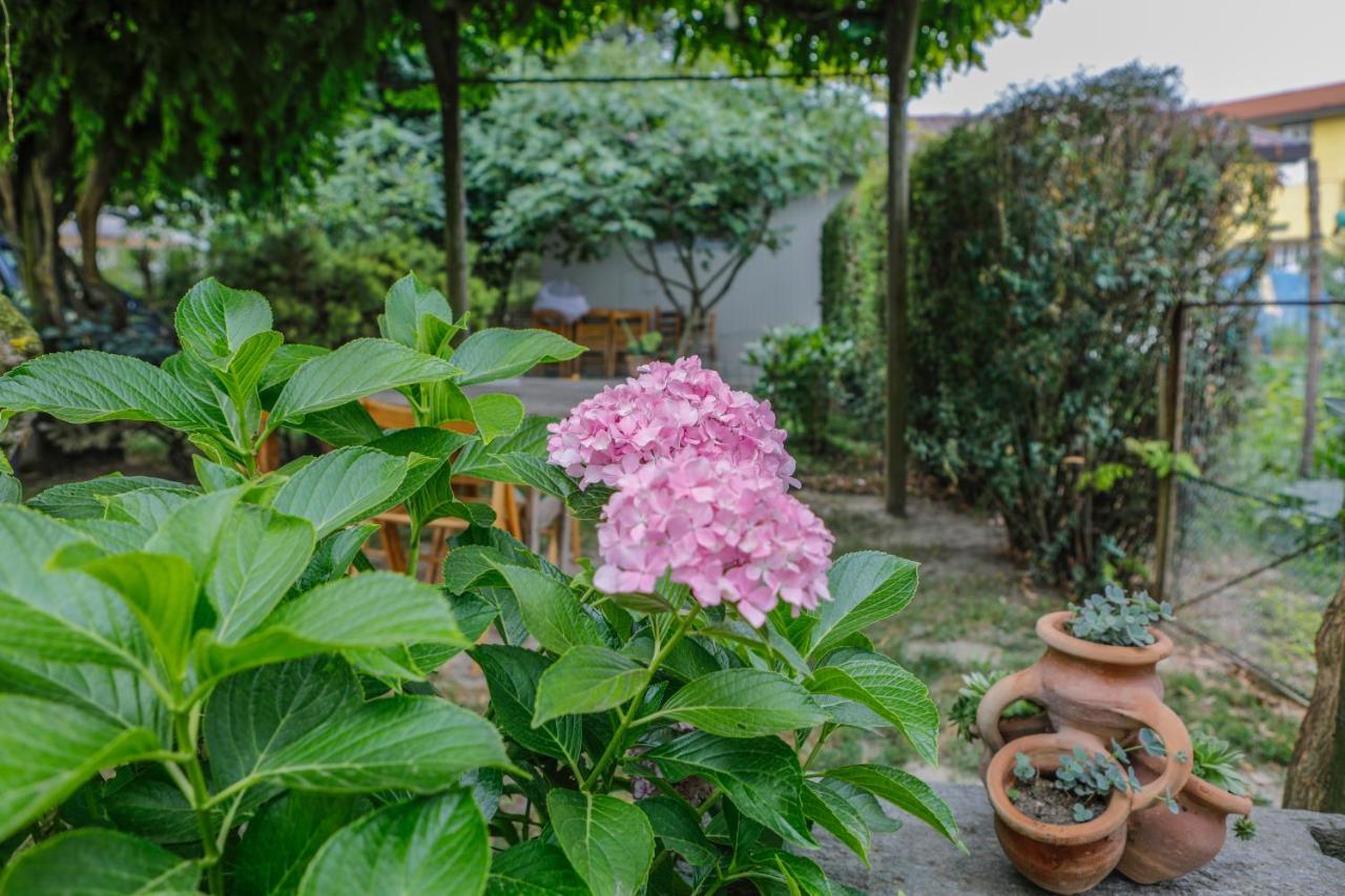 Il Germano Reale Bed & Breakfast Alba  Luaran gambar