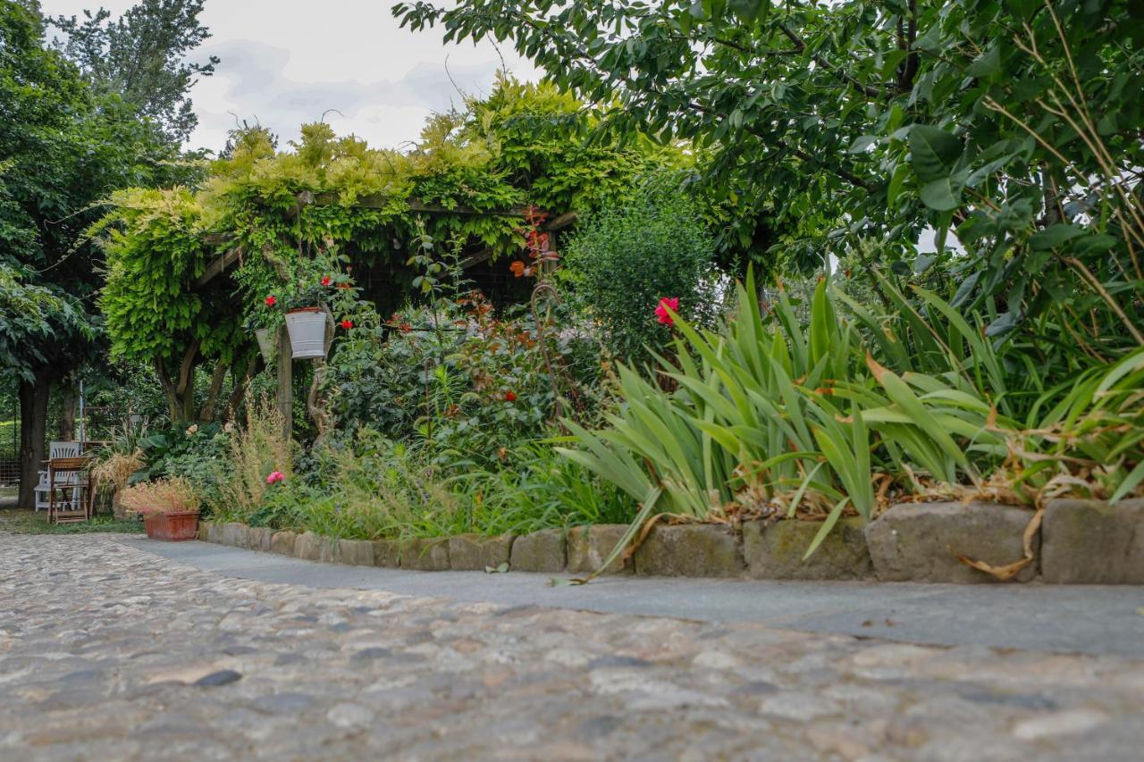 Il Germano Reale Bed & Breakfast Alba  Luaran gambar