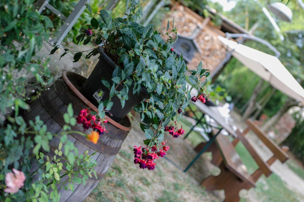 Il Germano Reale Bed & Breakfast Alba  Luaran gambar